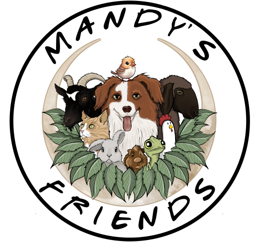 Logo Mandy's Friends